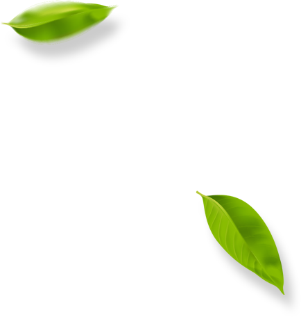 leafs